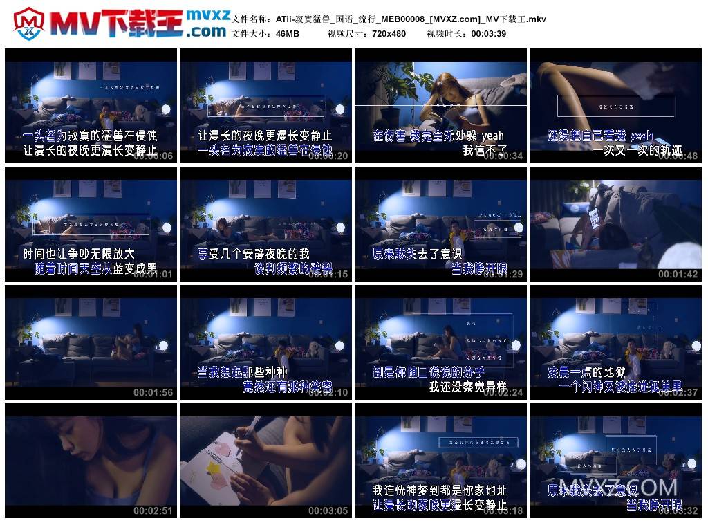 ATii-寂寞猛兽_国语_流行_MEB00008